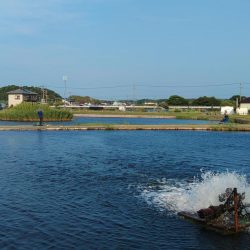 午後からのんびりと浜名湖フィッシングリゾートへ
